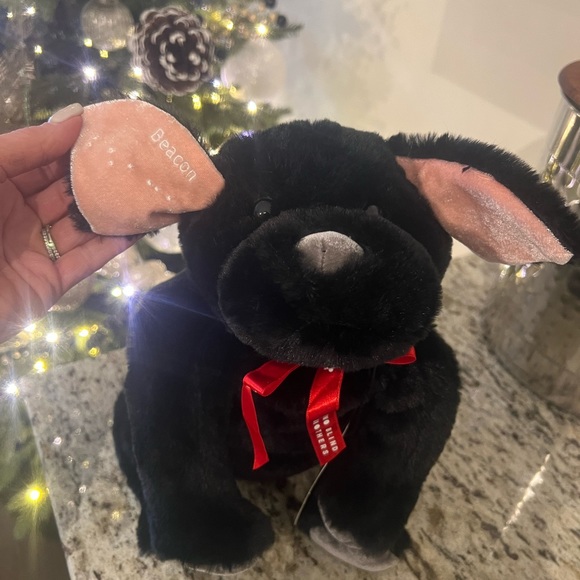 NWT Two blind Brothers Beacon plush dog - Picture 7 of 11